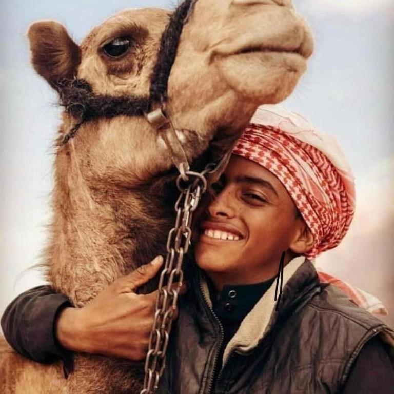 Hotel Wadi Rum Desert Heart Camp Extérieur photo