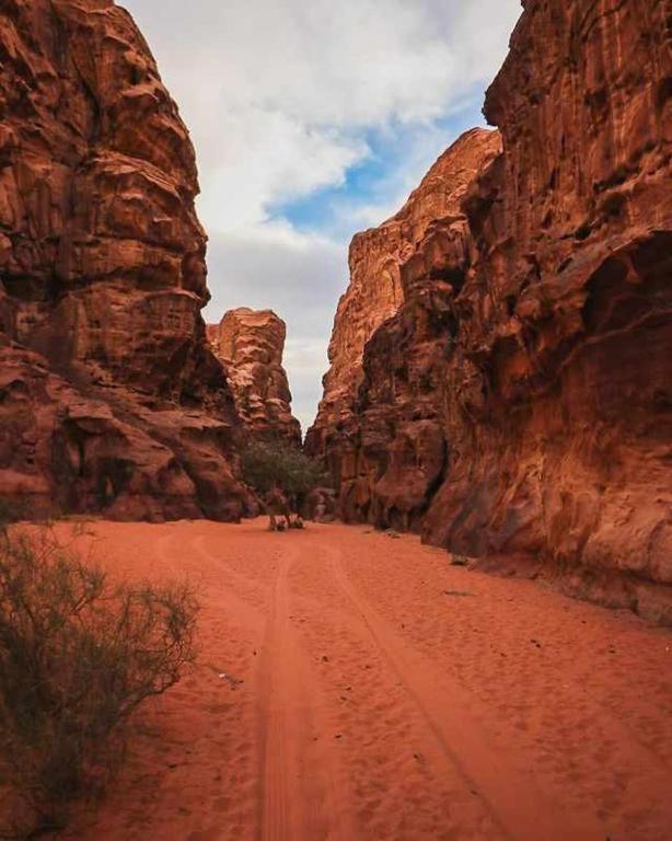 Wadi Rum Desert Heart Camp Extérieur photo