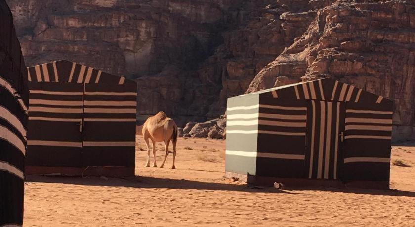 Wadi Rum Desert Heart Camp Extérieur photo